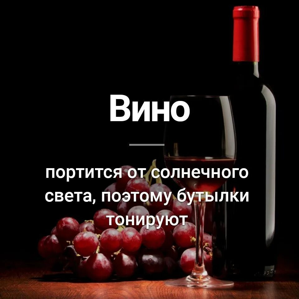 Фразы про вино. Интересное про вино. Интересные факты про вино. Высказывания о вине. Интересно вино.