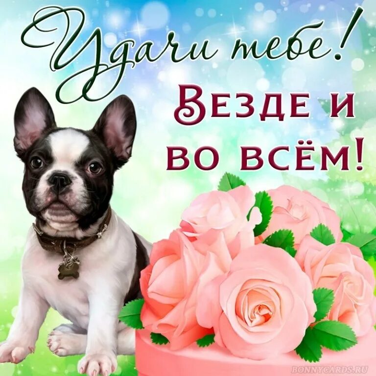 Удачного дня рождения