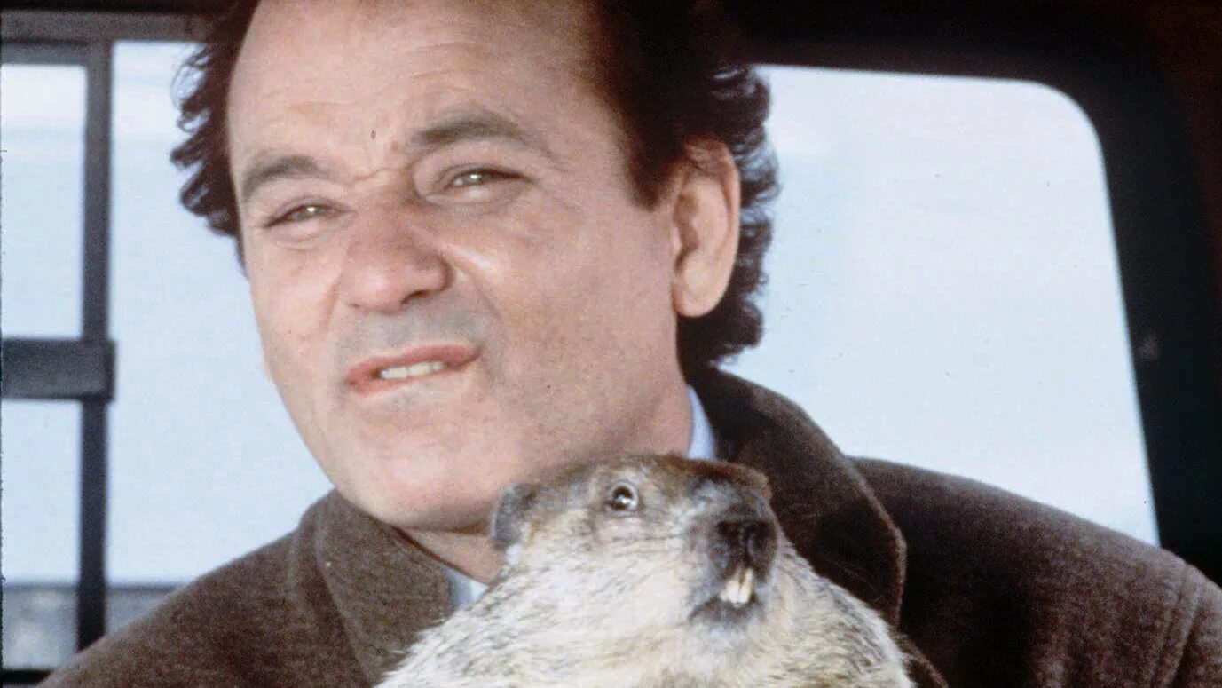 День сурка фила. Билл Мюррей день сурка 1993. Билл Мюррей и сурок. Bill Murray Groundhog Day. Билл Мюррей из дня сурка.