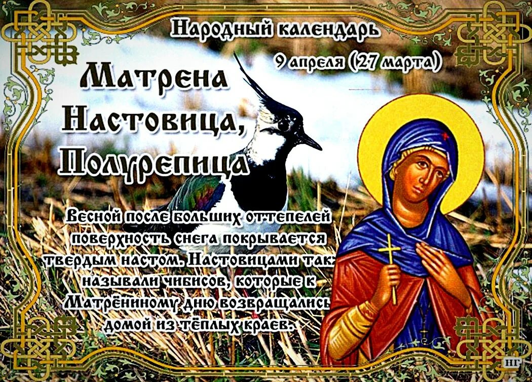 Какой сегодня праздник 9 апреля 2025. Народный праздник матрена настовица. матрена настовица (полурепица).