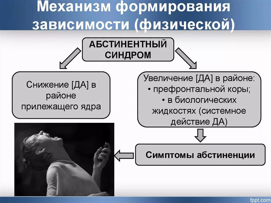 Зависимое развитие. Механизм формирования зависимости. Механизм формирования наркозависимости кратко. Механизм формирования наркотической зависимости. Механизм формирования лекарственной зависимости.