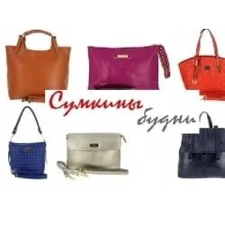 Сумкины дети на валберис. Шир сумкин. Сумкины будни баннер. Сумкина будни. Сумкины будни.