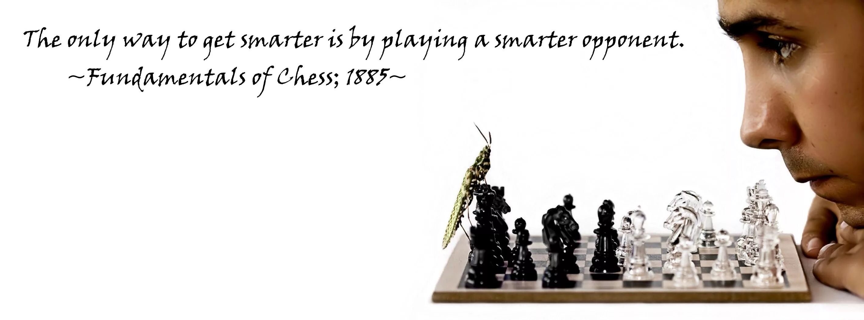 Цитаты про шахматы. Известные афоризмы про шахматы. Шахматы психология. Шахматы цитаты великих. The only way we