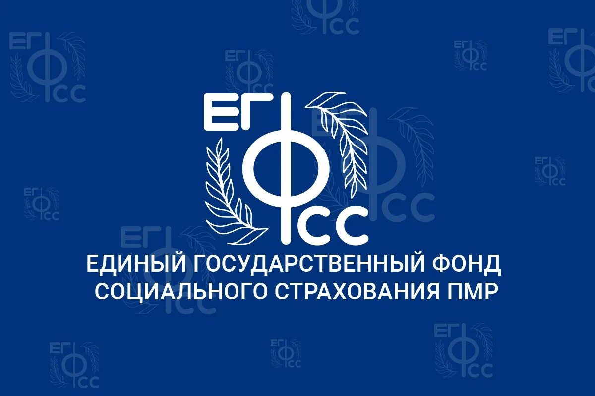 Https фонд рф. ЕГФСС ПМР. Фонд государственного социального страхования. Единый государственный фонд. ФСС ПМР.