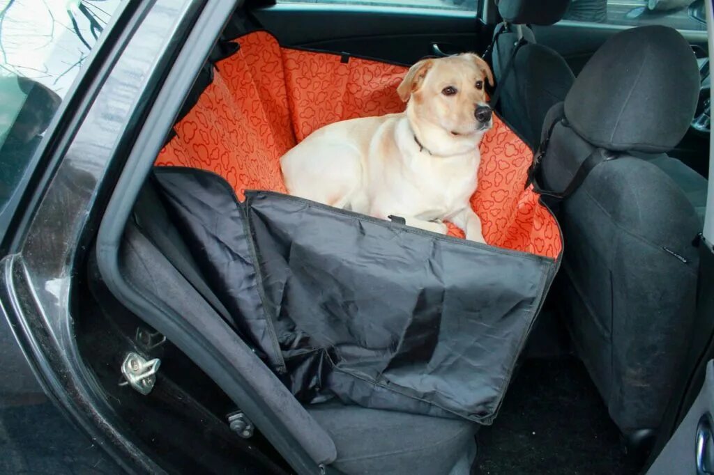 Машинки для собак рейтинг. Гамак для собак в машину. Автогамак для перевозки собак. Гамак для маленьких собак в автомобиль. Гамак для собак в машину на заднее сиденье.