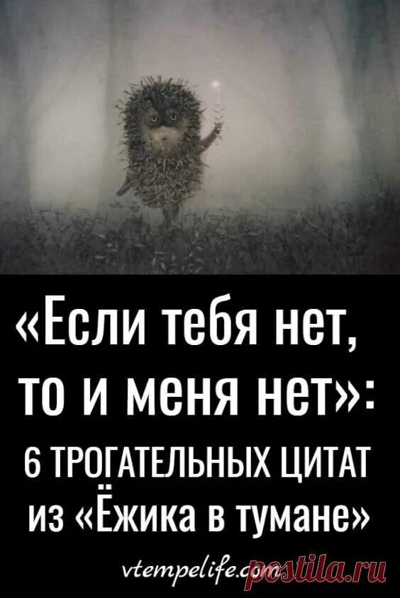 Ежик в тумане цитаты. Цитаты ежика в тумане и медвежонка. ежик в тумане фразы. цитаты из мультика ежик в тумане.