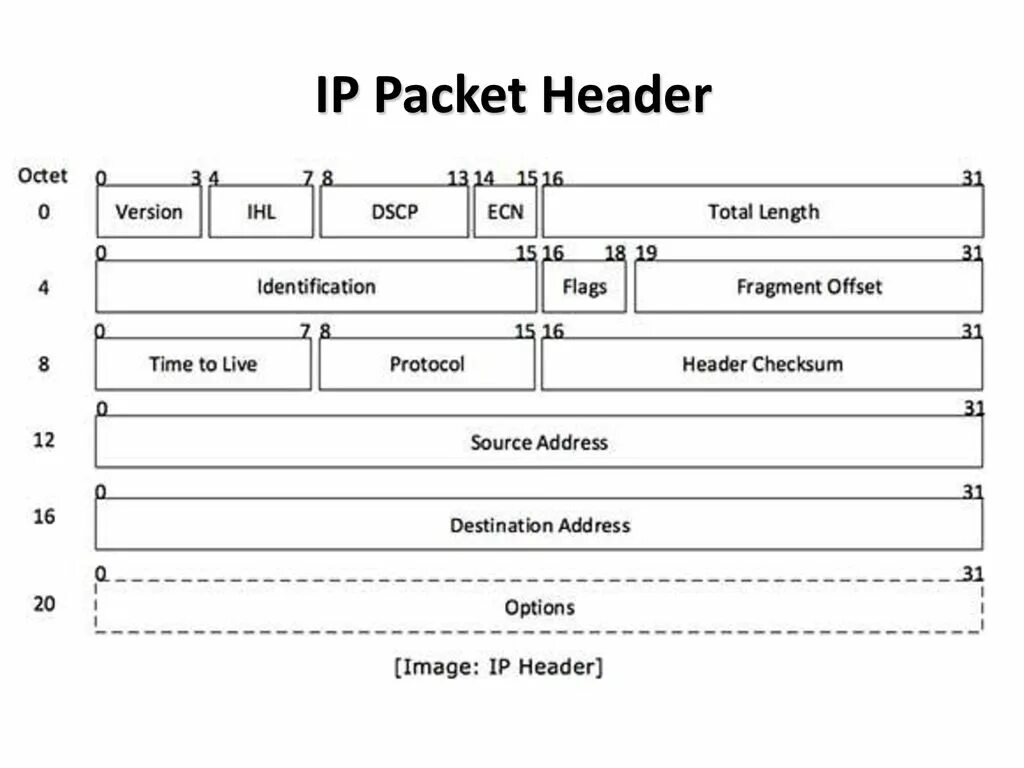 Формат пакета ipv4. Структура ipv4 протокола. Структура пакета ipv4. Структура заголовка пакета ipv4.