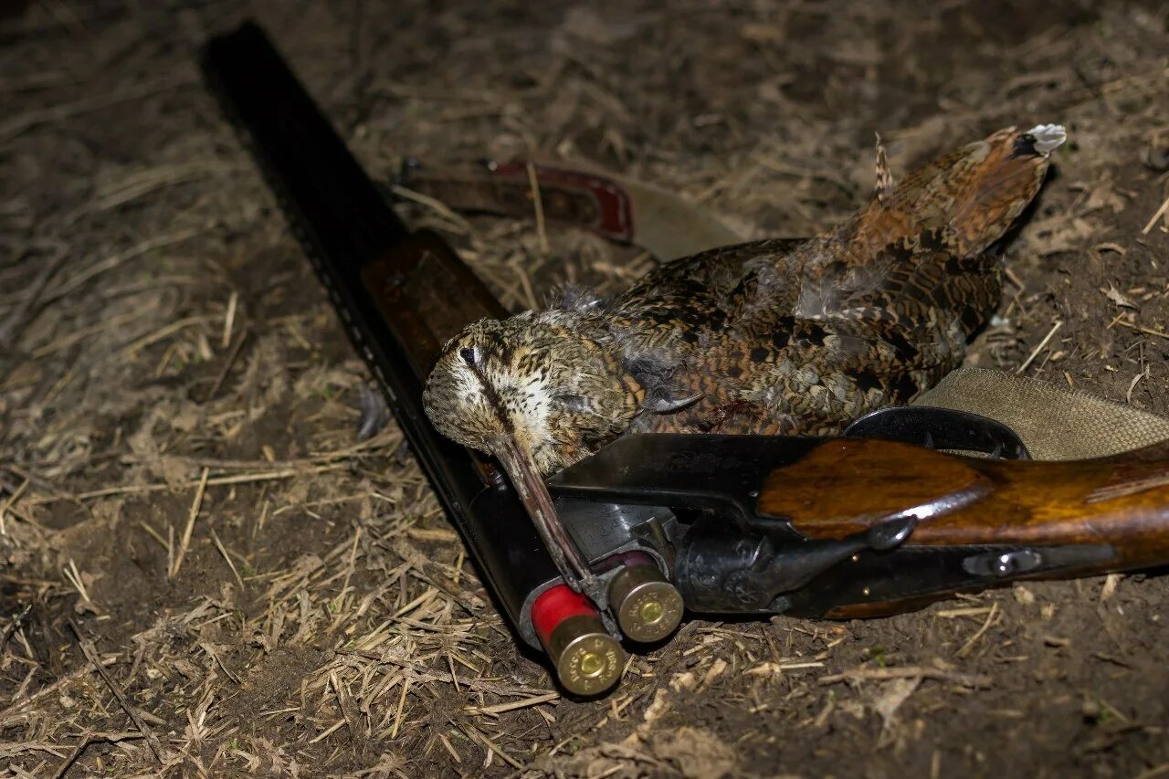 Spring hunting
