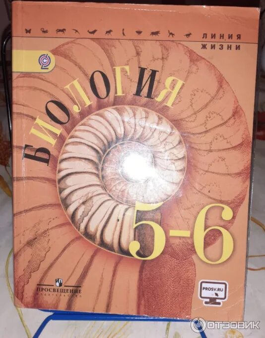 Линия жизни пасечник 6