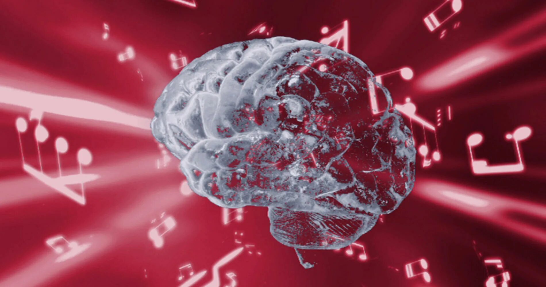 Музыка головного мозга. Музыкальный мозг. Мозг музыканта. Нейроны. Музыкальная фармакология.