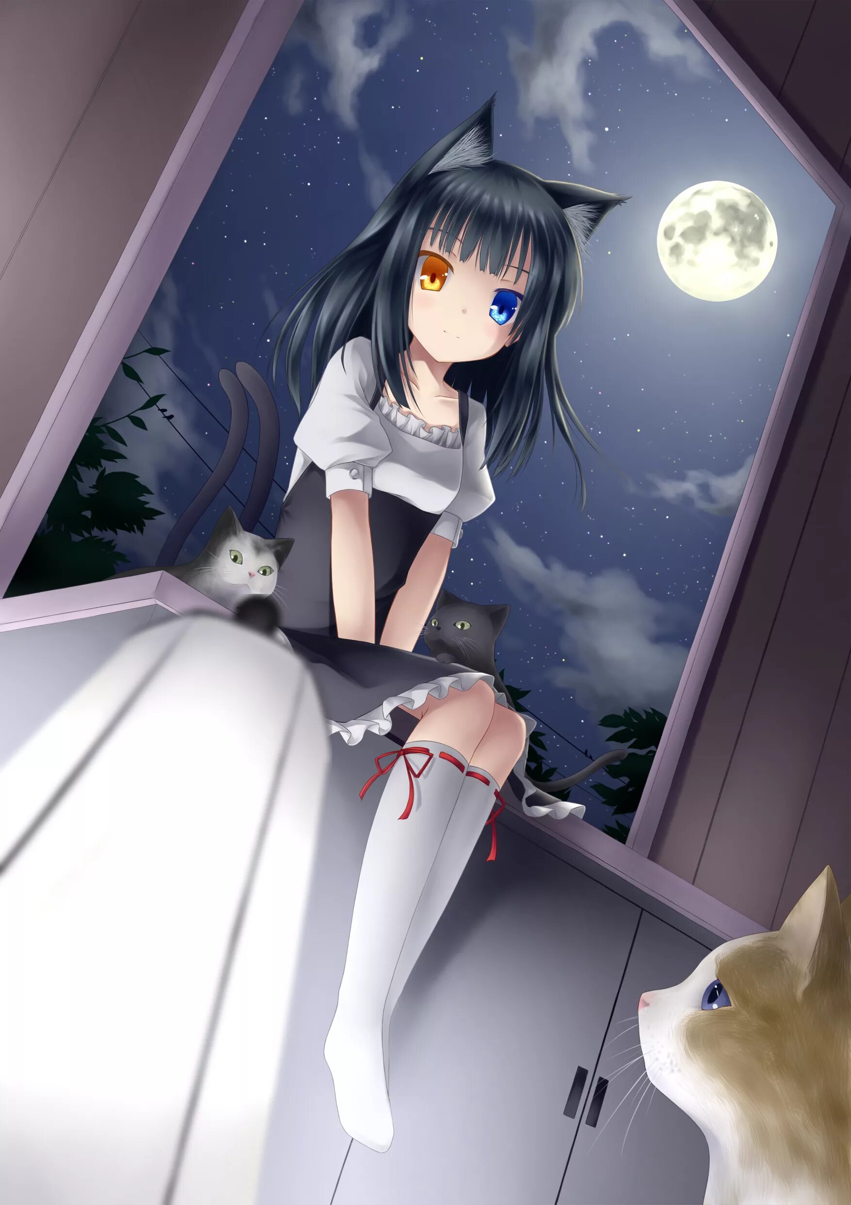 Включи котика девочка. Девушка с котом на руках. Включи котика девочка. Девочка с котом. Девочка с котятами.