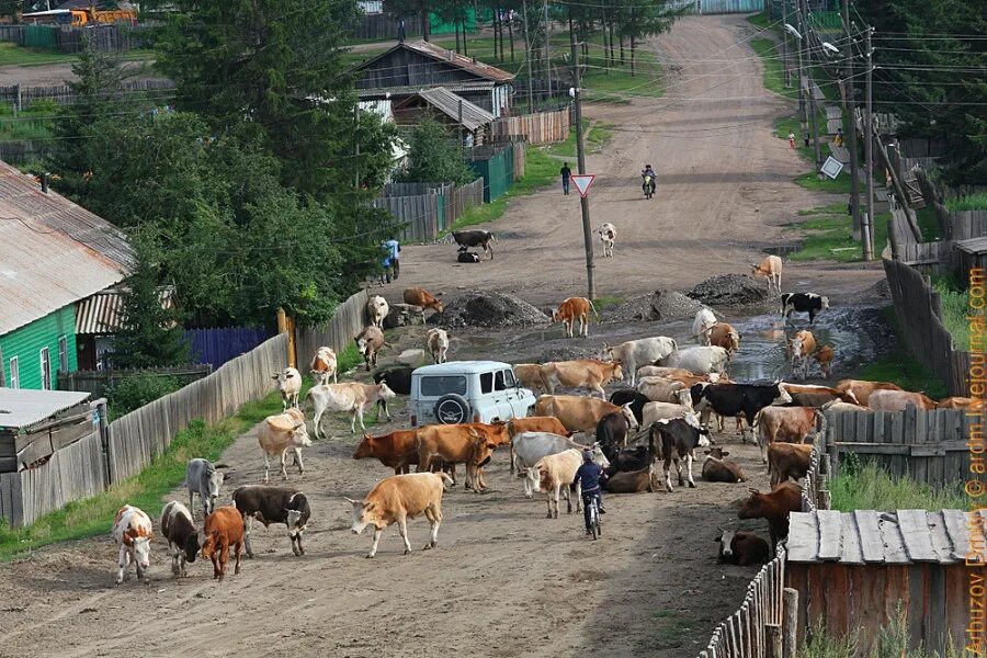 Тоора-Хем Тыва. Тоора-Хем Тоджинский район. Поселок Тоора Хем Республика Тыва. Тоджинский район село Тоора Хем.