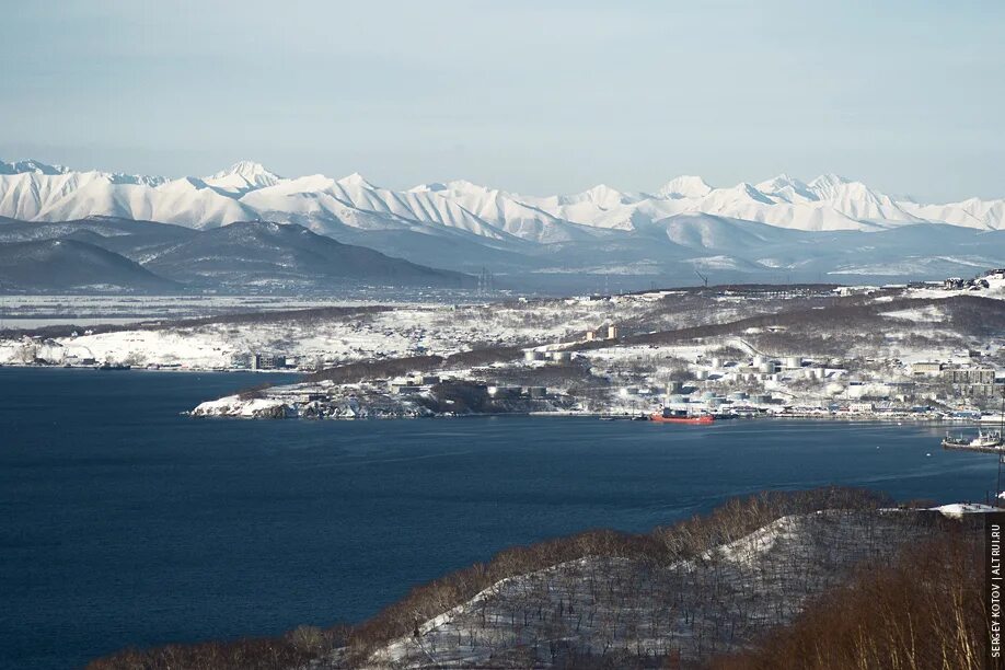 Рыба камчатки графика. Петропавловск-камчатский 2023 город. Камчатка вулканы зима. Петропавловск-камчатский вилючинск. Авачинский вулкан елизово.