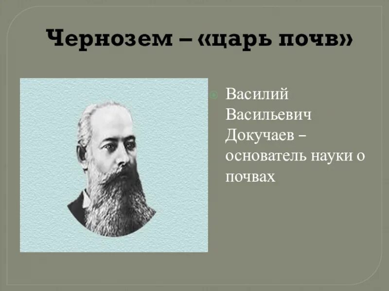 Докучаев чернозем. Основатель науки отпочвах. Царем почв называют