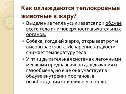 Температура тела теплокровных