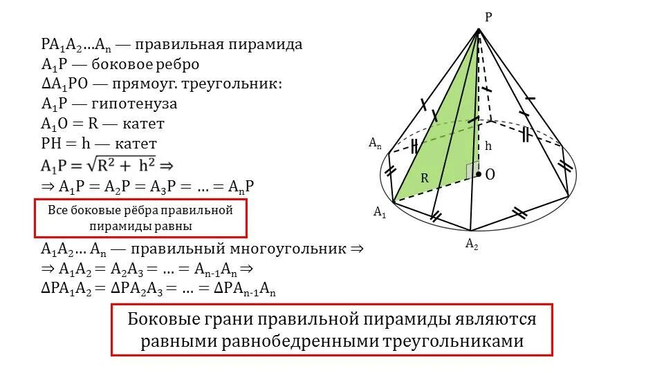 Боковые ребра правильной пирамиды равны а боковые грани. Апофема площадь боковой поверхности правильной пирамиды. Свойства правильной пирамиды: боковые ребра равны. Боковые ребра правильной пирамиды равны доказательство.