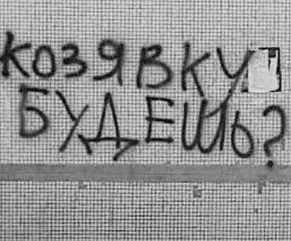 Привет козявка картинки. Козявка. Козявка 69. Привет козявка. Привет козявка.