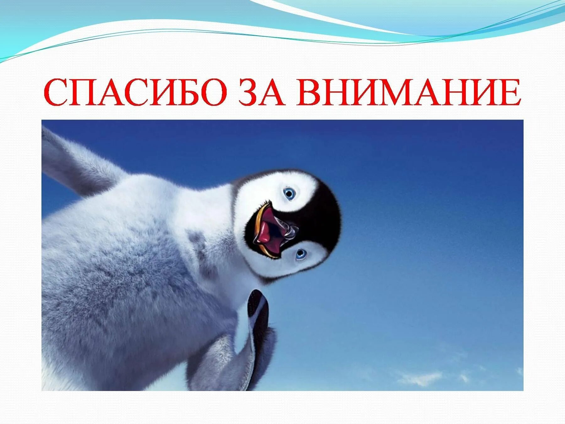 Мем пингвин спасибо. Мем пингвин спасибо