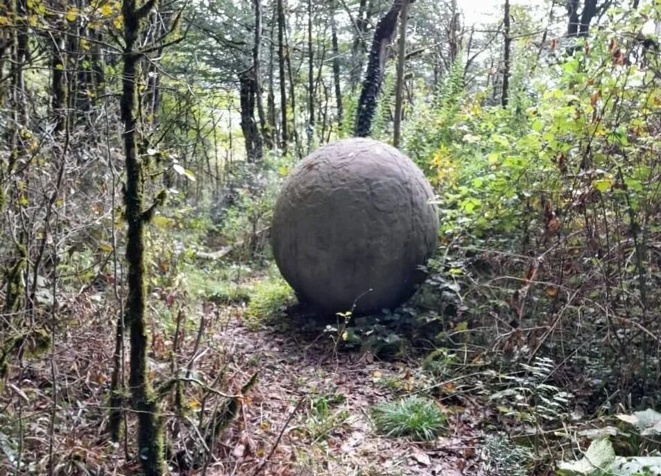 Аллергические пятна на спине. Огромный шар в лесу. Появляются большие. Появляются большие. Большие шары в сочинском лесу.