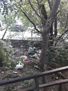 Ялта позора