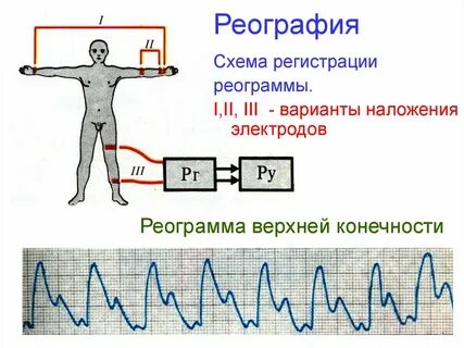Метод реографии основан на