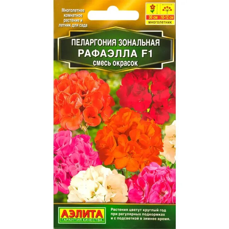 Пеларгония рафаэлла f1. Пеларгония зональная рафаэлла f1 белая. Семена пеларгонии f1. Пеларгония f1 (герань) русский размер. Пеларгония pinto premium salmon.