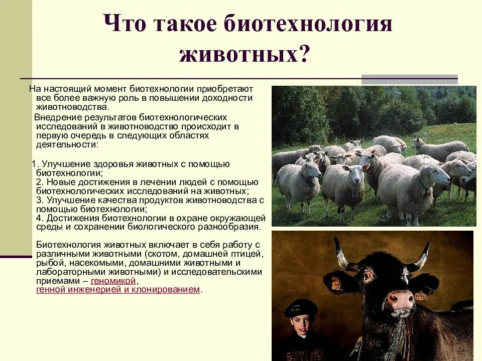 Селекция в животноводстве. Биотехнологии в животноводстве. современные биотехнологии в животноводстве. биотехнология воспроизводства животных. биотехнологии в скотоводстве.