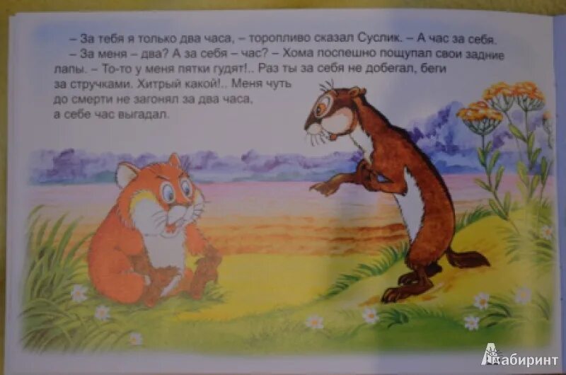 Хома и суслик книга. Сказки аудио хома и суслик. Сказка про хомяка и суслика слушать. Приключения хомы и суслика книга. Приключения хомы и суслика.