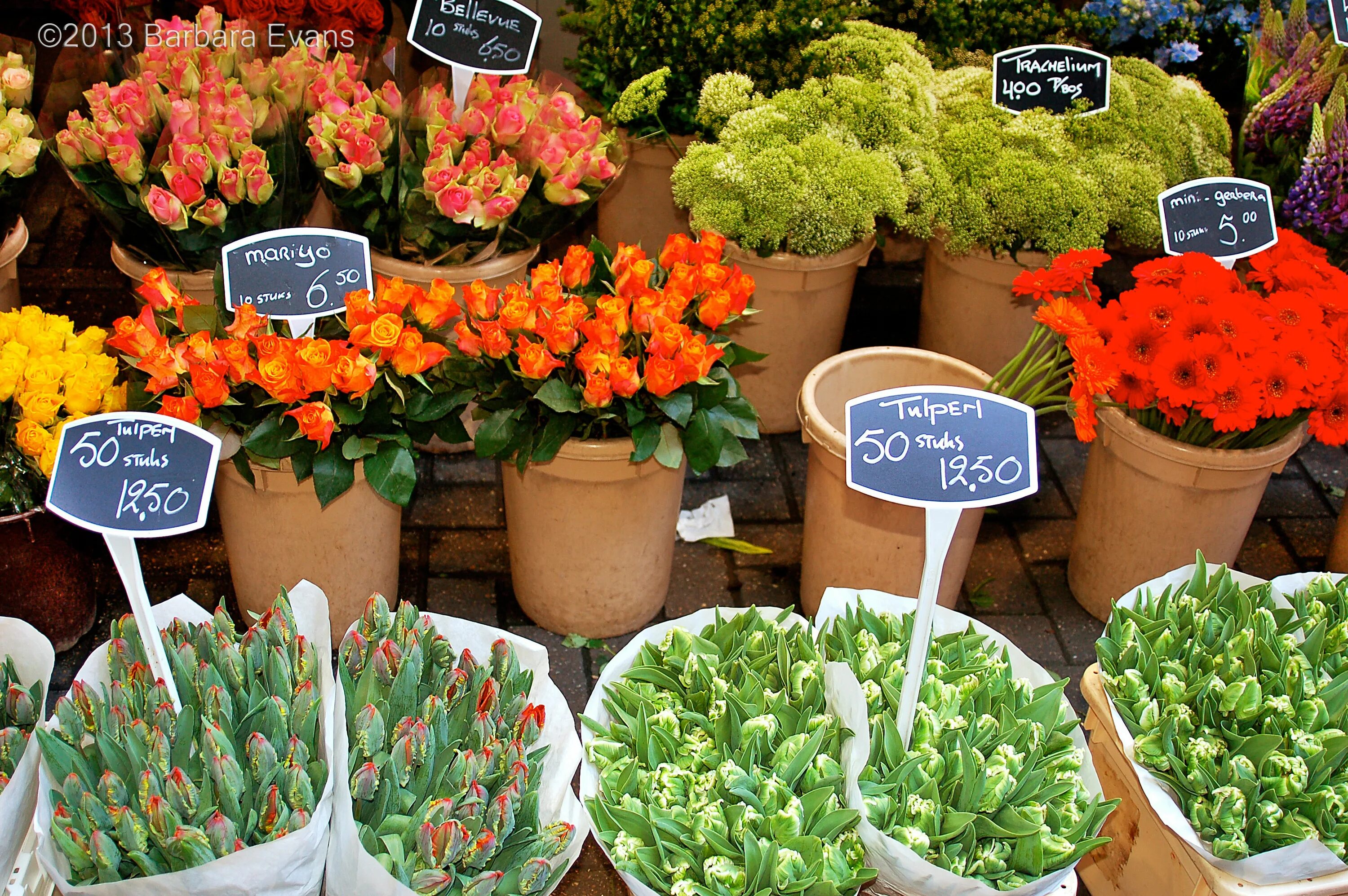 Рижский рынок цены на цветы 2024. Цветочный рынок. Рижский рынок цветов в горшках. Рижский цветочный рынок. Рижский рынок цветов комнатные растения.