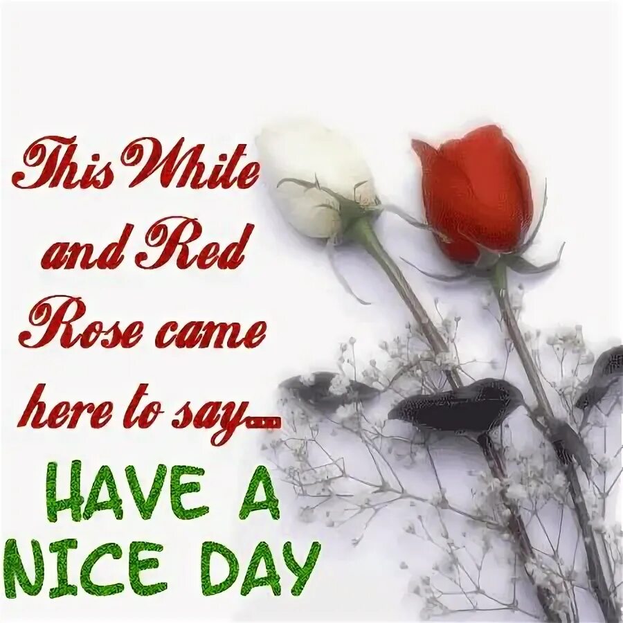 Have a nice lesson. Открытка have a nice day. good morning have a nice day гифки. have a nice day картинки. гиф have a nice day.