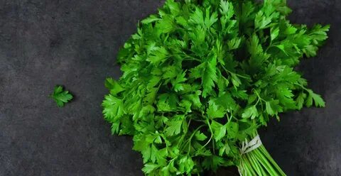 Густой зелени
