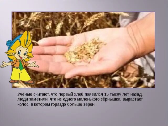 Сказка об одном зернышке краткое содержание