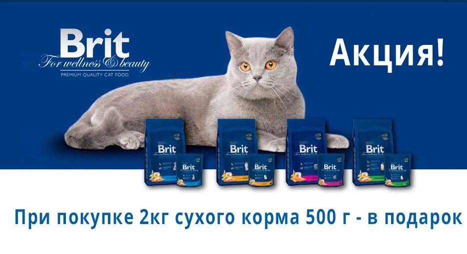 Брит кар корм для кошек. Brit Premium Care. Корм для кошек Brit Premium 1кг. Brit Premium логотип. Корм для собак Brit Premium.