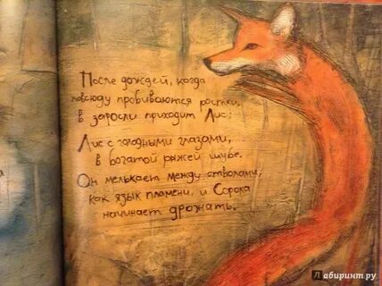 Произведение лис