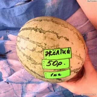 Чудо арбузы