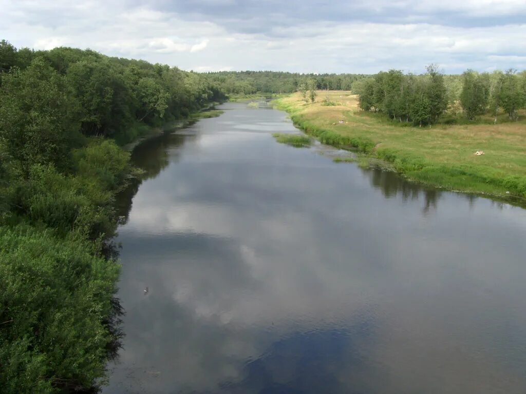 Угра подъем воды. Угра в Якшуново. Поселок Якшуново река Угра. Плотина Угра. Река Елица Рузский район.