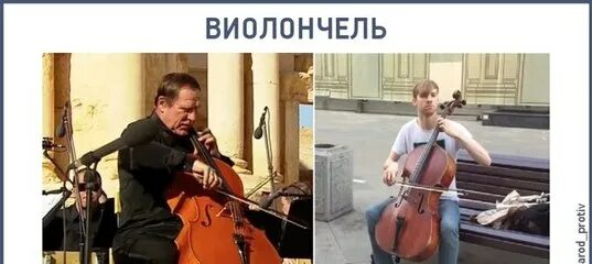 Осторожно собчак виолончелист