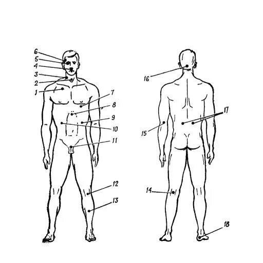 Точка спереди. Уязвимые места человека. Уязвимые точки человеческого тела. Болевые точки у мужчин. Болевые точки тела человека.