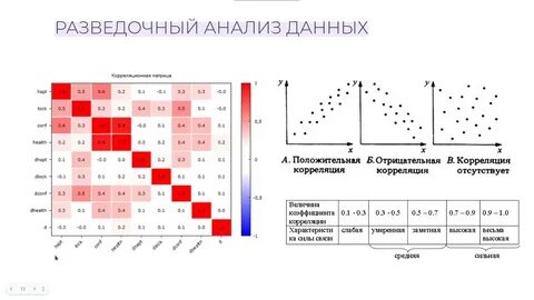 Первичный анализ и обработка