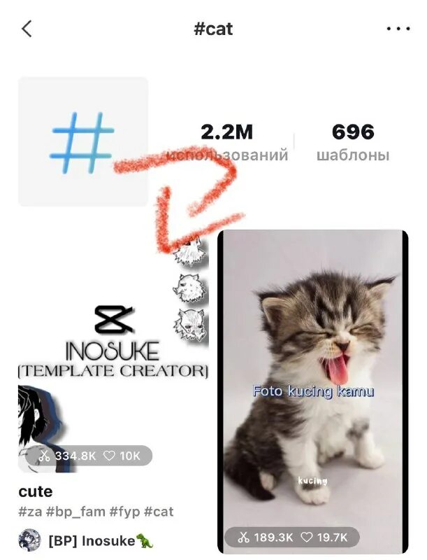 шаблоны кап кут тик ток 2023