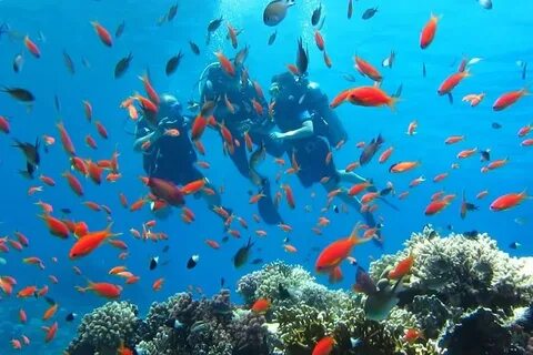 Красное море острова