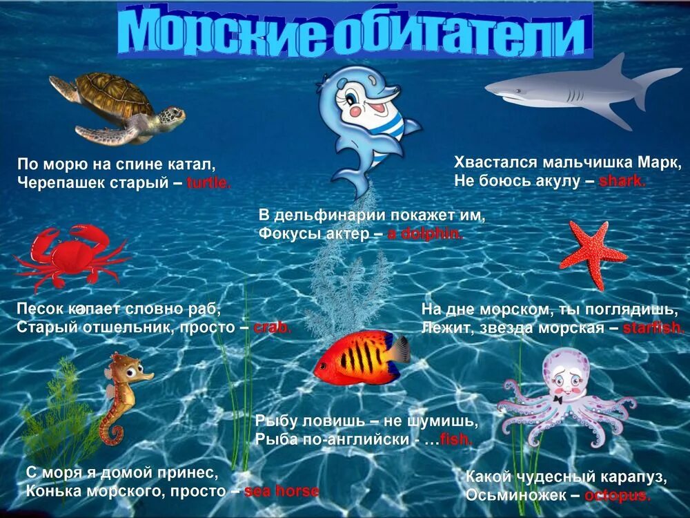 Морской какое число