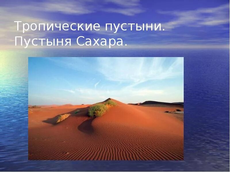 Тропические пустыни. Тропические пустыни Африки. Пустыня презентация. Тропические пустыни презентация.