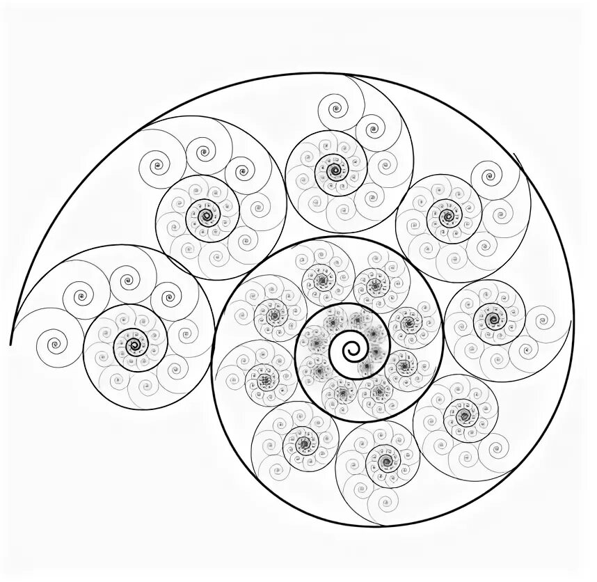 Спираль Фибоначчи Мандала. Спираль Фибоначчи фрактал. Спиральный узор. Спиралевидный орнамент. Круг улитка