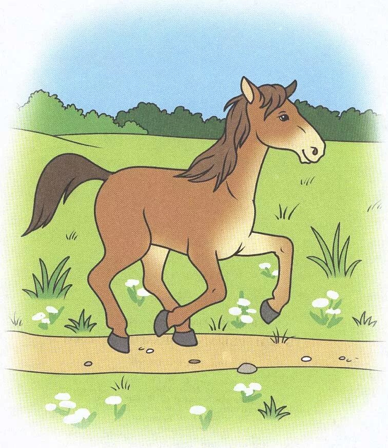 Конь скороговорку. Лошадка для детей. Лошадка рисунок. Лошадь рисунок для детей. Лошадка для детей которая скачет.