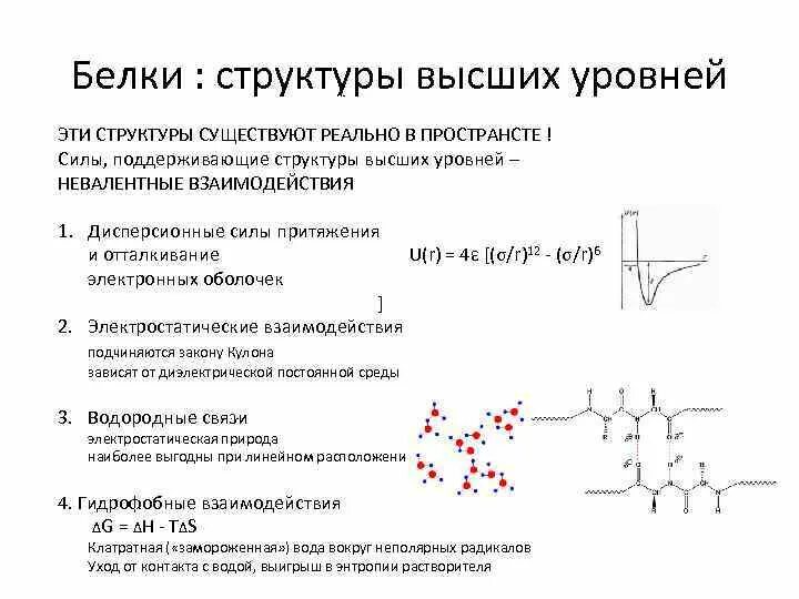 Какая структура выше. Невалентные взаимодействия. Электростатические взаимодействия в белках. Электростатическое взаимодействие белковых молекул. Электростатические связи в белках структура.