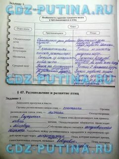 Тетрадь по биологии 7 класс суматохин