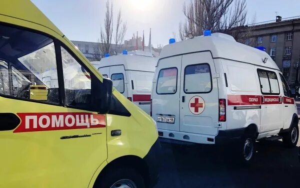 Помощь курску в новосибирске. Помощь курску в новосибирске