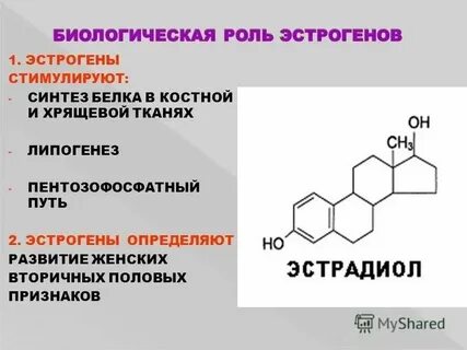 Понижен уровень эстрогена у женщин