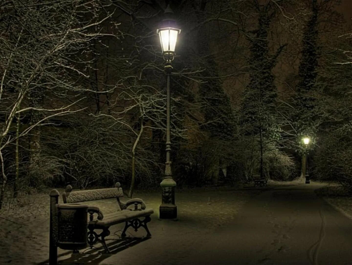 Темный холодный вечер. Аллея с фонарями. Фонарь ночью. Ночной зимний парк. Парк с фонарями.